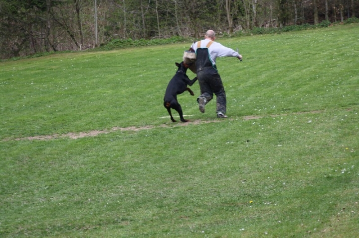Frühjahrsprüfung am 04.05.2013