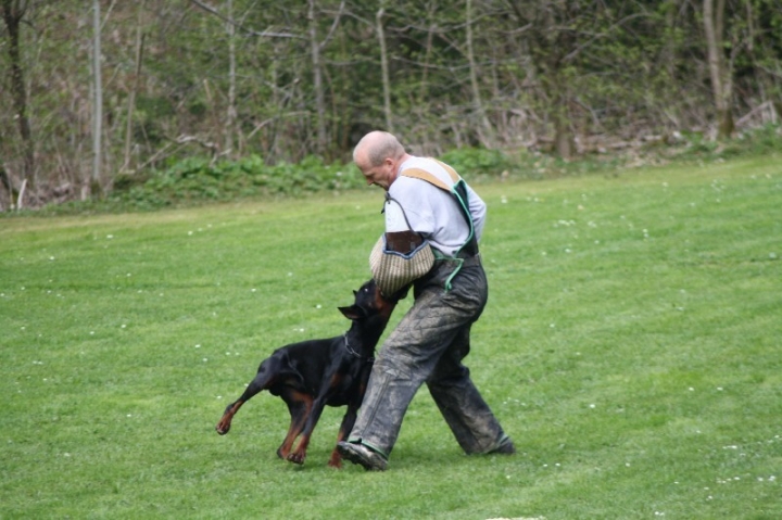 Frühjahrsprüfung am 04.05.2013