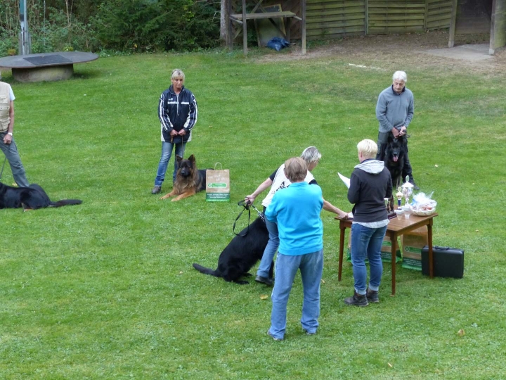 Herbstprüfung 2016 - 