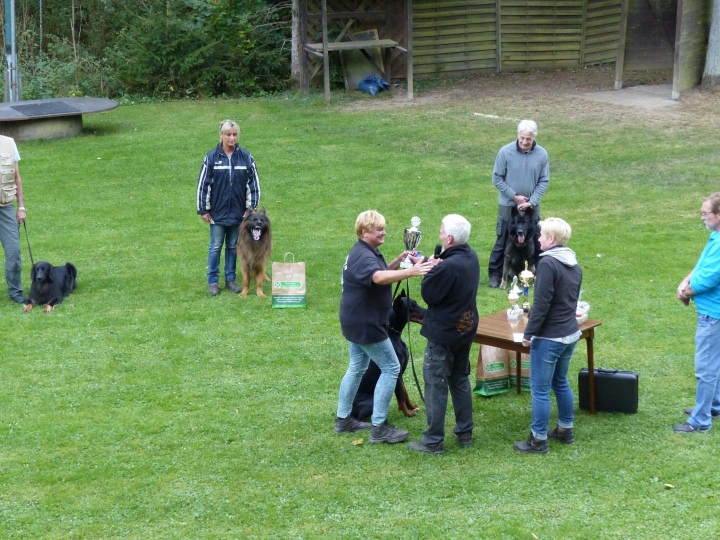 Herbstprüfung 2016 - 