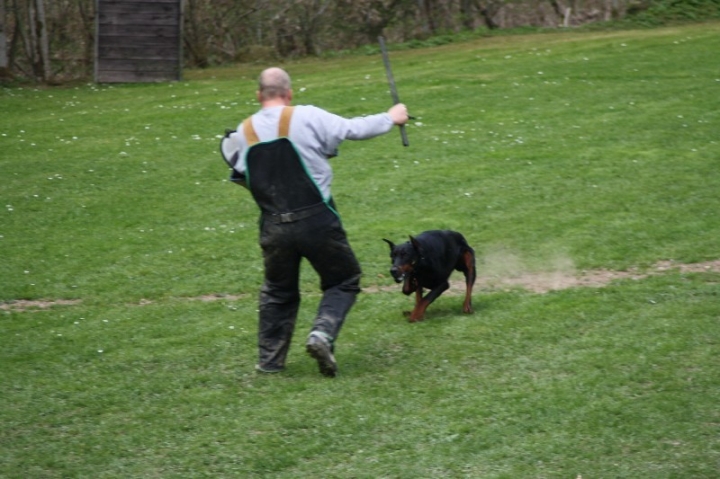 Frühjahrsprüfung am 04.05.2013