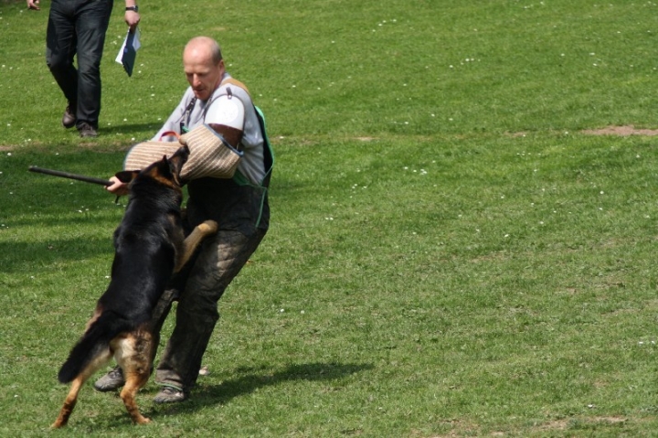 Frühjahrsprüfung am 04.05.2013