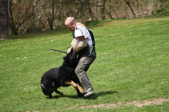 Frühjahrsprüfung am 04.05.2013