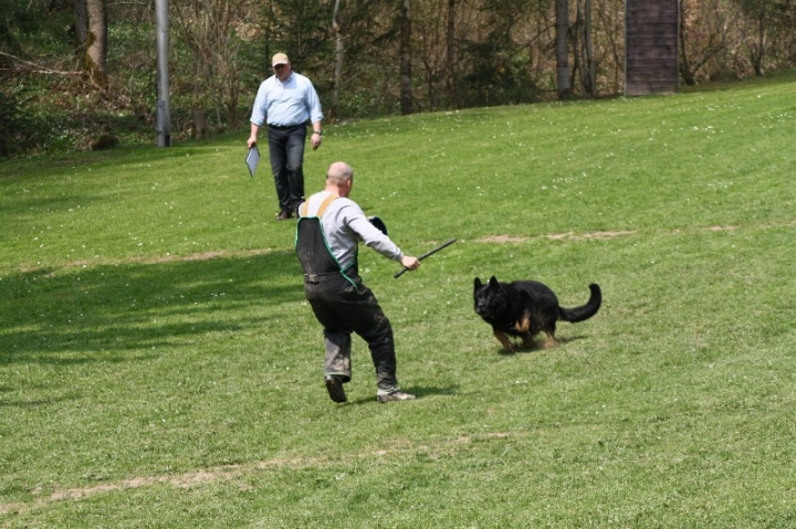 Frühjahrsprüfung am 04.05.2013