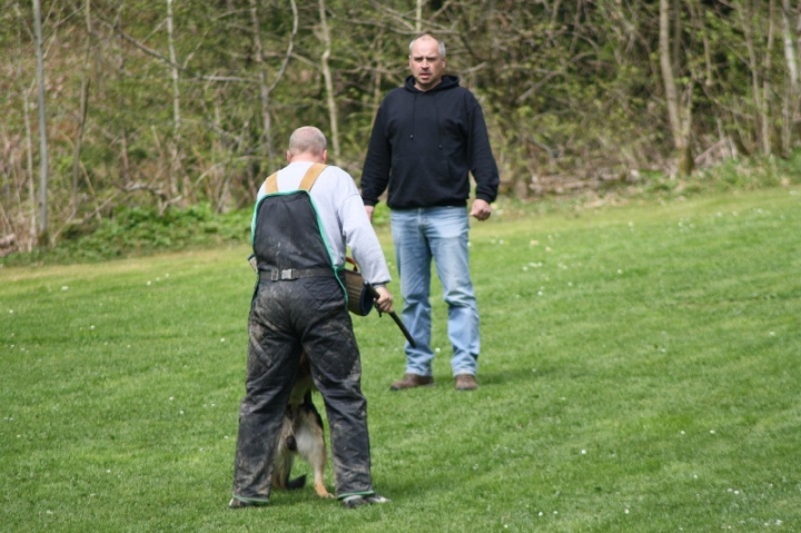 Frühjahrsprüfung am 04.05.2013