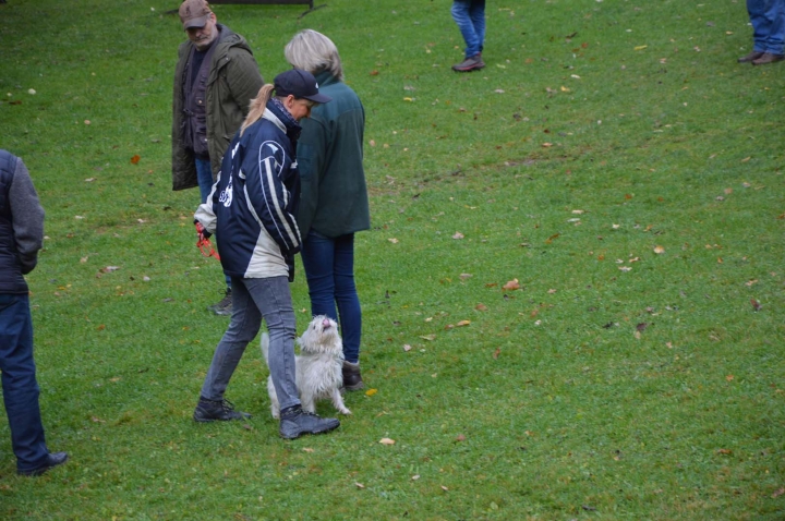 IPO-Herbst 2018