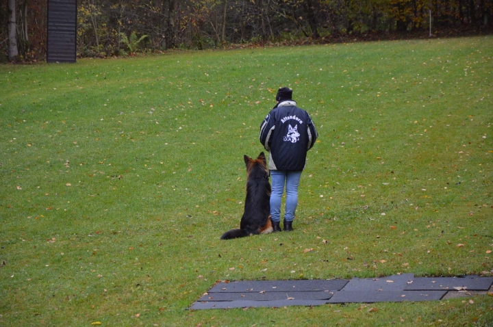 IPO-Herbst 2018