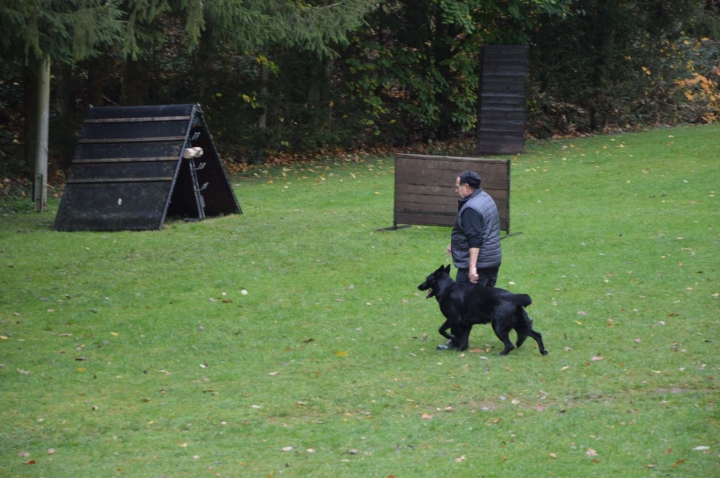IPO-Herbst 2018