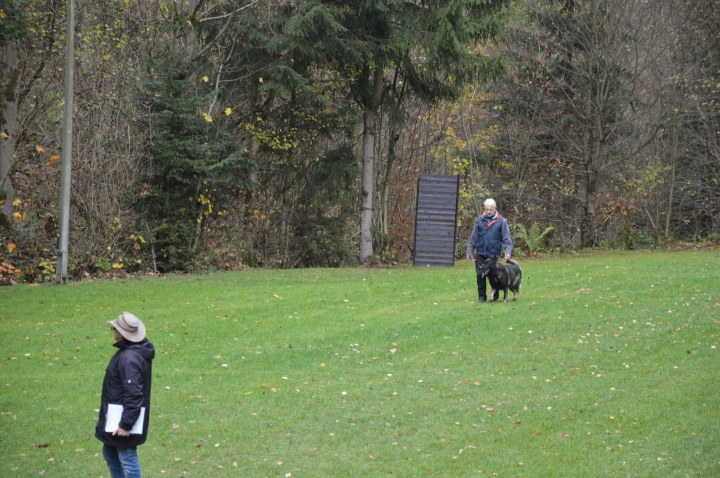IPO-Herbst 2018