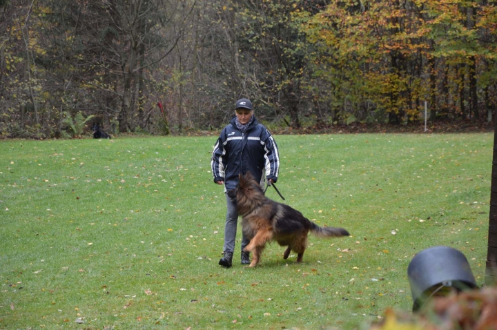 IPO-Herbst 2018