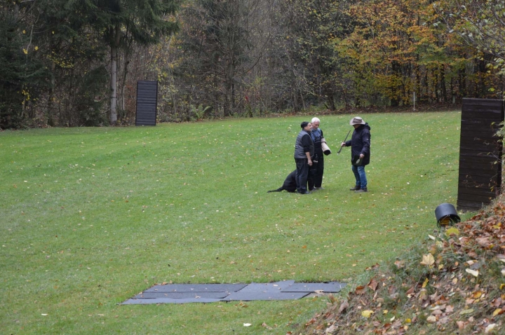 IPO-Herbst 2018