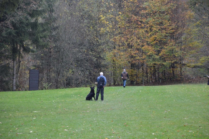 IPO-Herbst 2018
