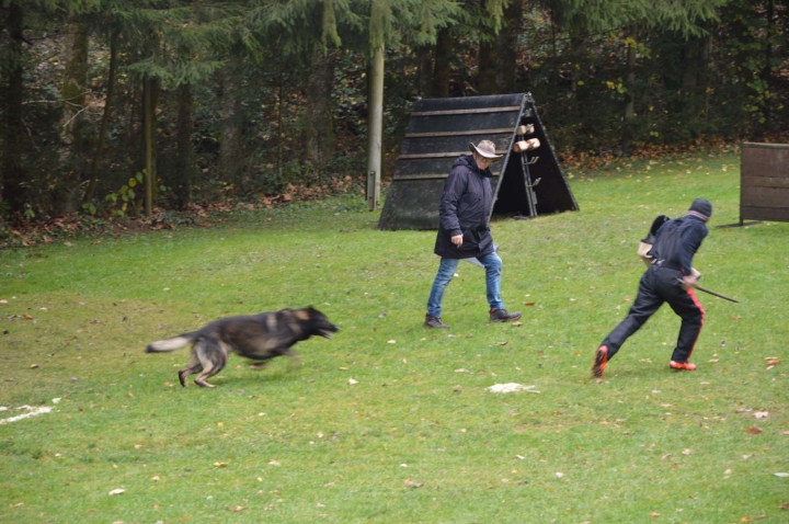 IPO-Herbst 2018