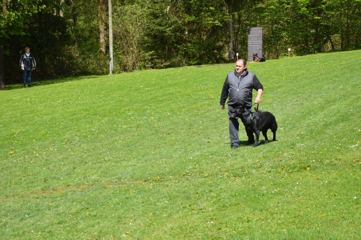 IPO-Frühjahrsprüfung 2019