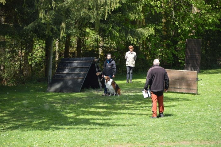 IPO-Frühjahrsprüfung 2019