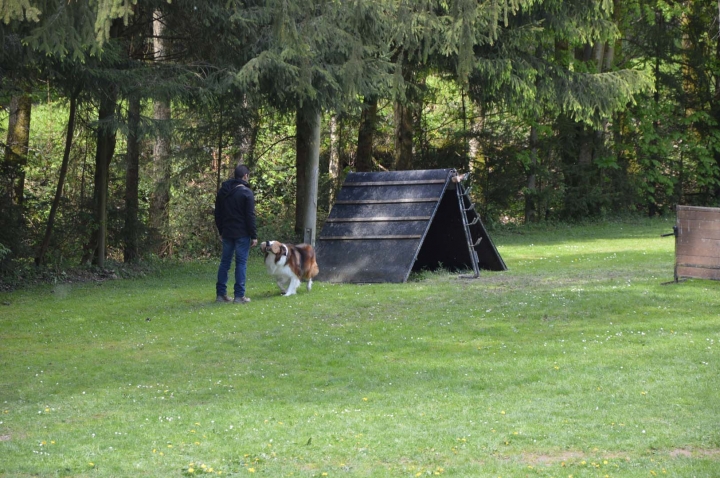 IPO-Frühjahrsprüfung 2019