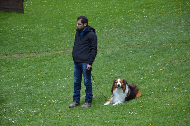 IPO-Frühjahrsprüfung 2019