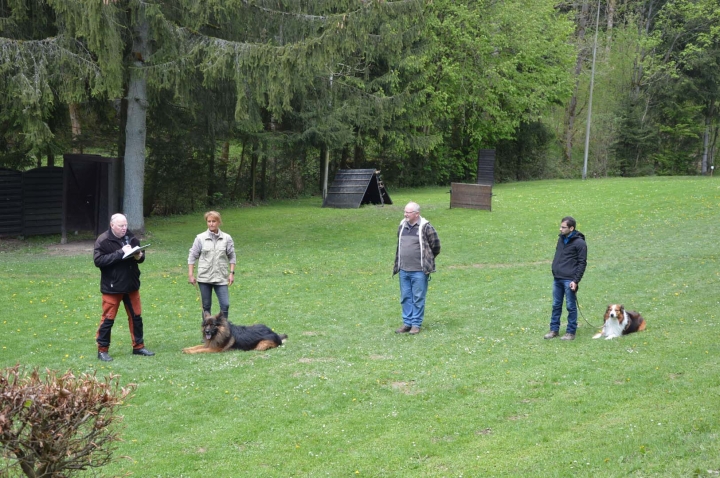 IPO-Frühjahrsprüfung 2019