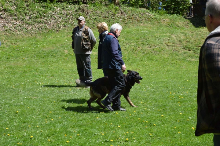 IPO-Frühjahrsprüfung 2019
