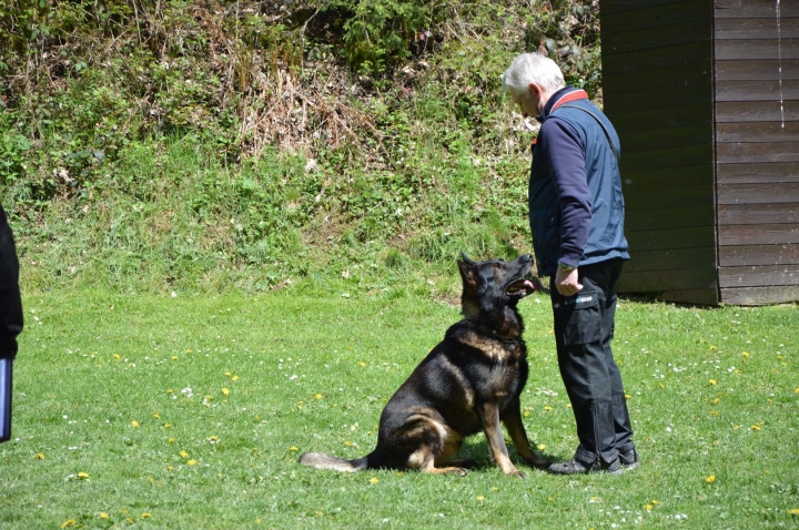 IPO-Frühjahrsprüfung 2019