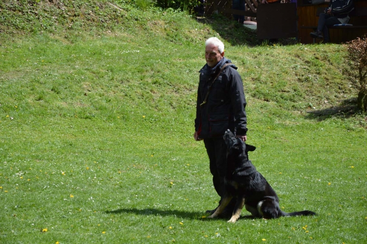 IPO-Frühjahrsprüfung 2019