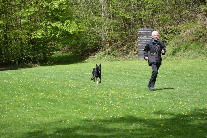 IPO-Frühjahrsprüfung 2019
