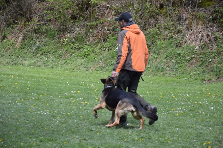 IPO-Frühjahrsprüfung 2019