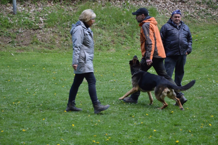 IPO-Frühjahrsprüfung 2019