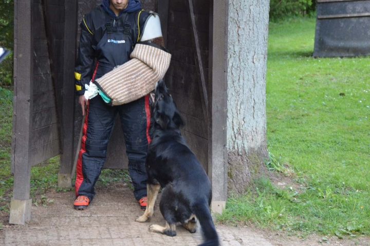 IPO-Frühjahrsprüfung 2019
