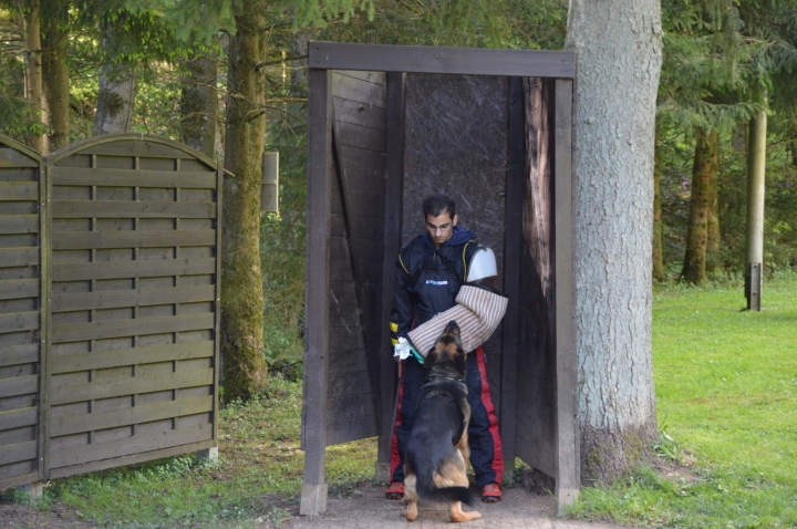 IPO-Frühjahrsprüfung 2019