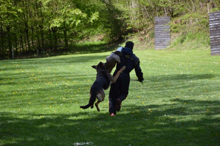 IPO-Frühjahrsprüfung 2019