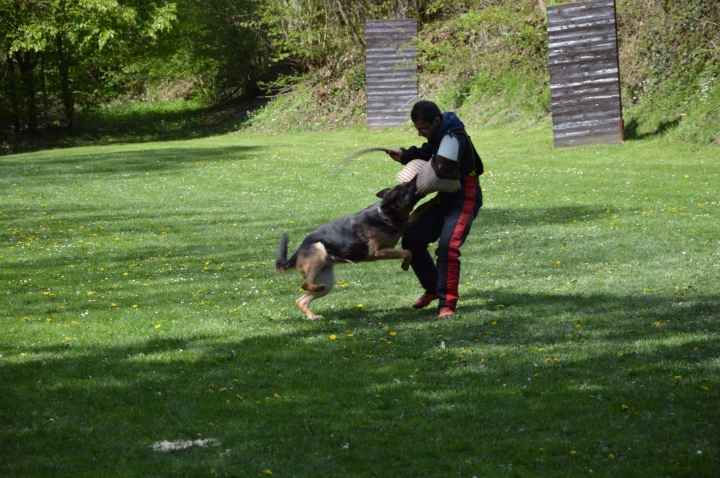 IPO-Frühjahrsprüfung 2019