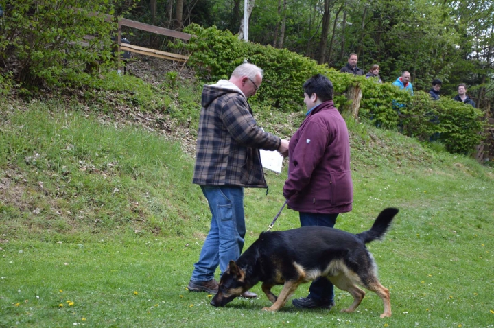 IPO-Frühjahrsprüfung 2019