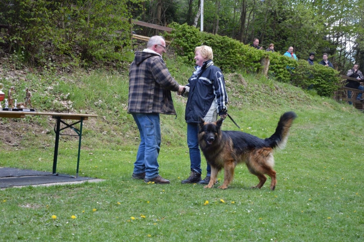 IPO-Frühjahrsprüfung 2019