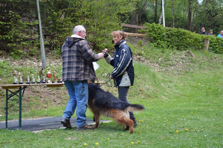 IPO-Frühjahrsprüfung 2019