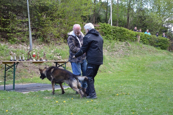 IPO-Frühjahrsprüfung 2019