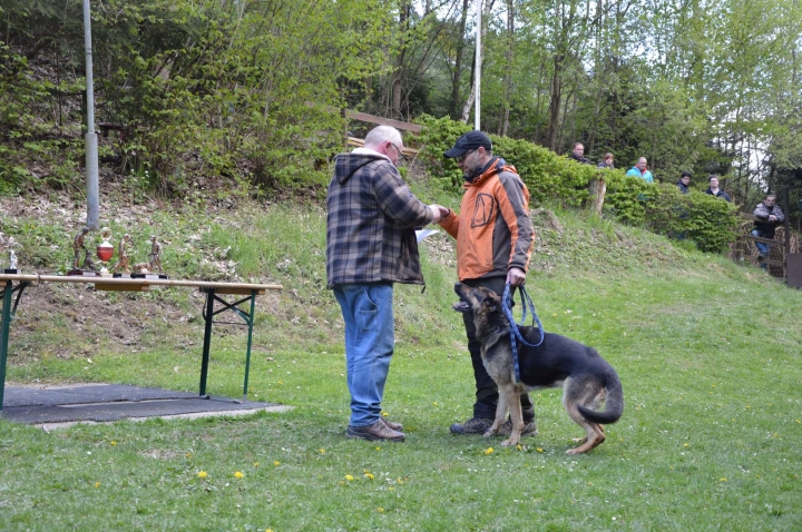 IPO-Frühjahrsprüfung 2019