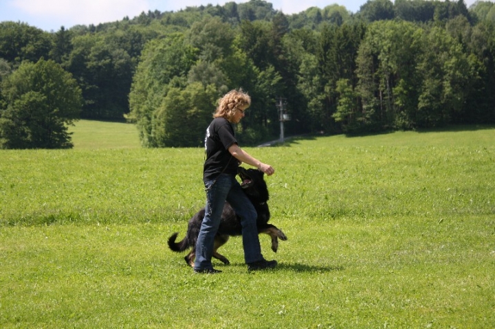 Urlaub Deggendorf 2013