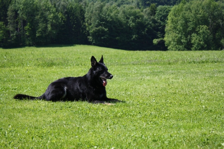Urlaub Deggendorf 2013