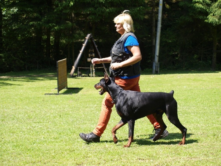 Probeschutzdienst 07.07.2013