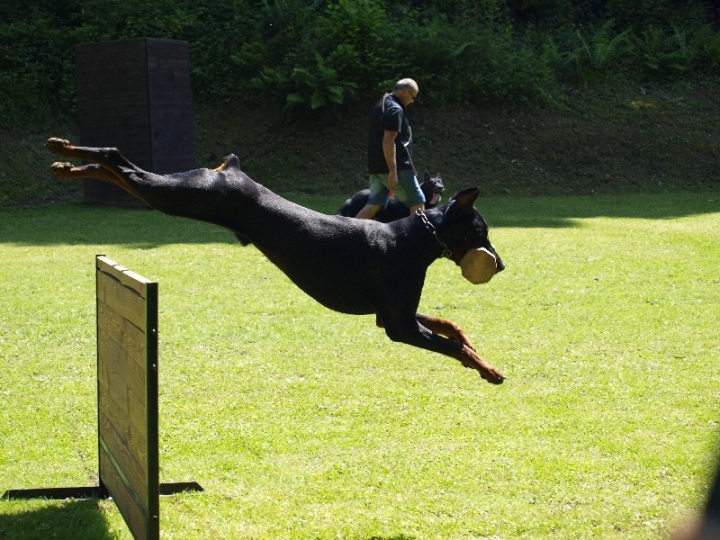 Probeschutzdienst 07.07.2013