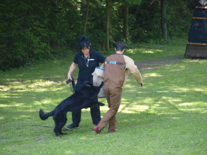 Probeschutzdienst 07.07.2013