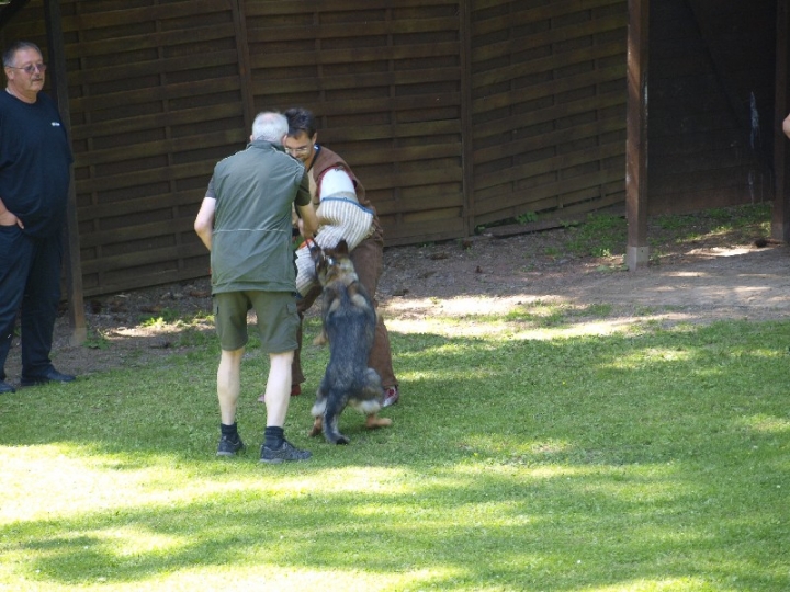 Probeschutzdienst 07.07.2013