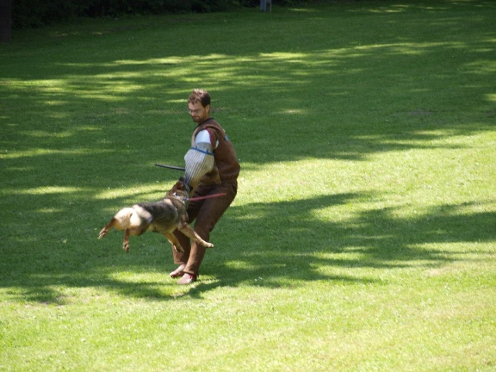 Probeschutzdienst 07.07.2013