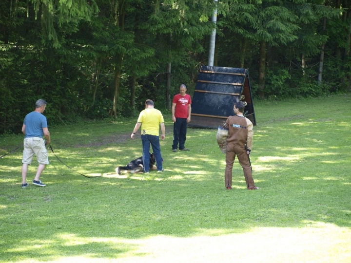 Probeschutzdienst 07.07.2013