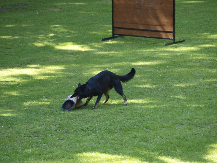 Probeschutzdienst 07.07.2013