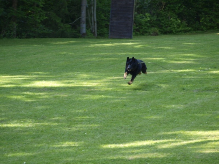 Probeschutzdienst 07.07.2013