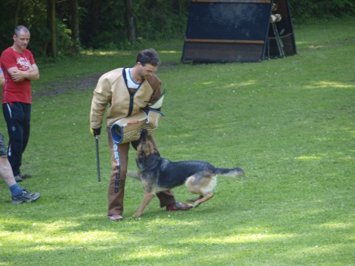 Probeschutzdienst 07.07.2013