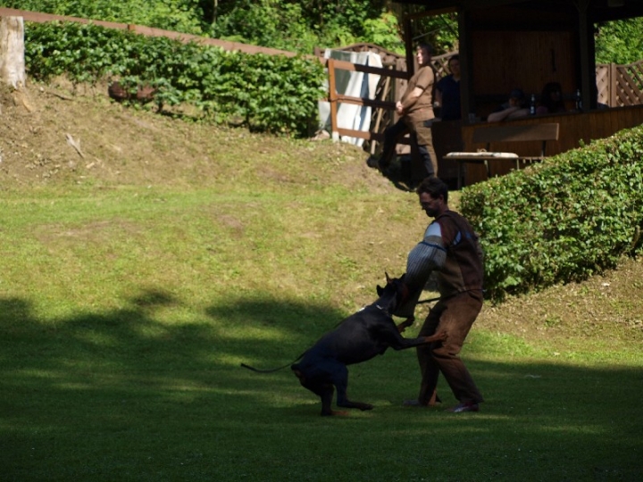 Probeschutzdienst 07.07.2013