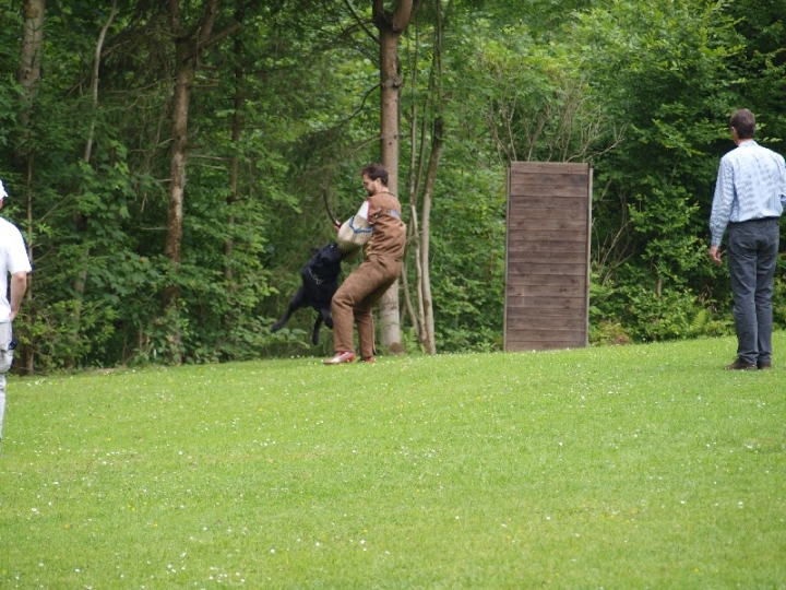 Sauerlandpokalkampf 2013 in Attendorn
